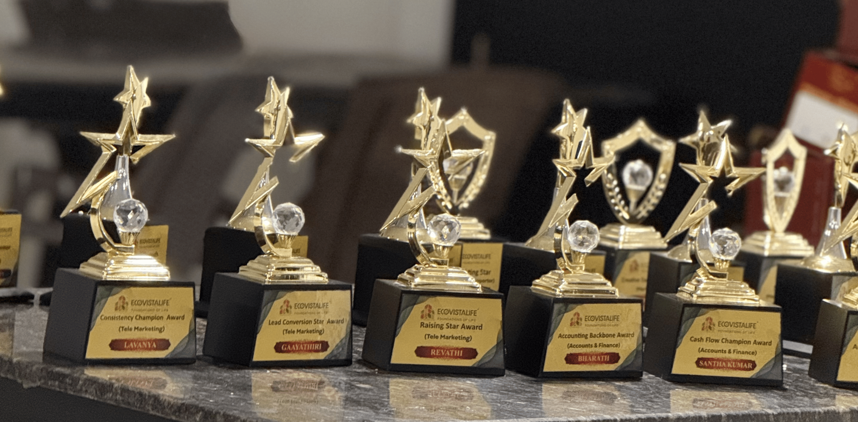 The Maverick Award