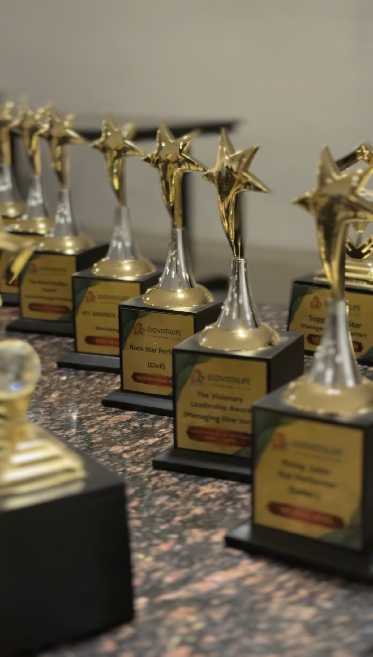 Visionary Leadership Award